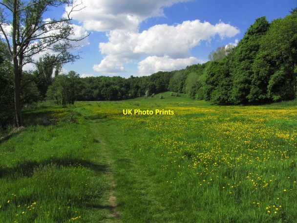 Photo 6"x4" On the Clyde Walkway, SE of Milton - Lockhart Nethanfoot c2013
