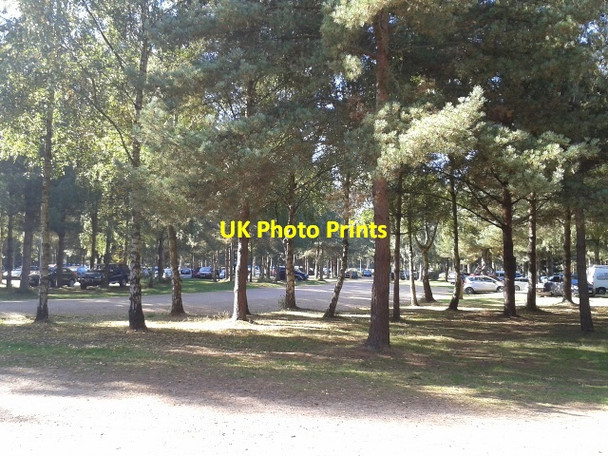 Photo 6"x4" Parking under the trees in Thetford forest Santon Downham c2013