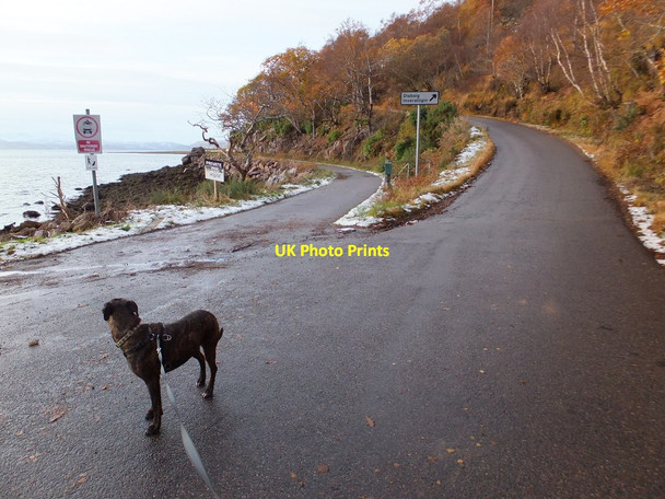 Photo 6"x4" Road junction at Torridon Fasag c2013