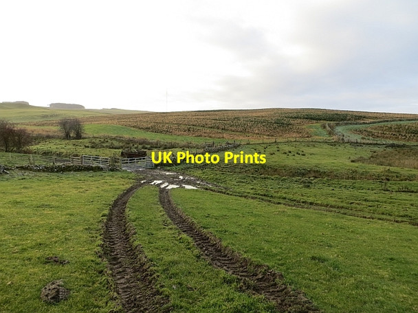 Photo 6"x4" Track to Deepslaids Selkirk c2013