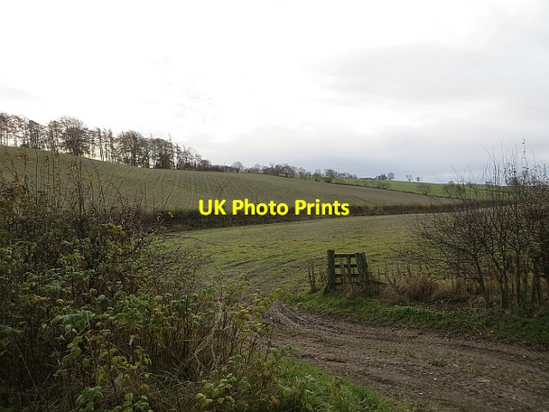Photo 6"x4" Farmland near Riddell Bowismiln c2013