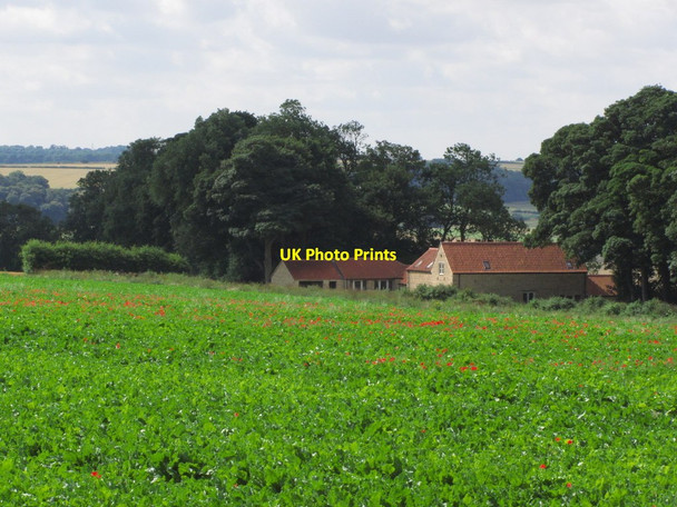 Photo 6"x4" Heath Barn, E of Carlton Scroop, Lincs Carlton Scroop c2013