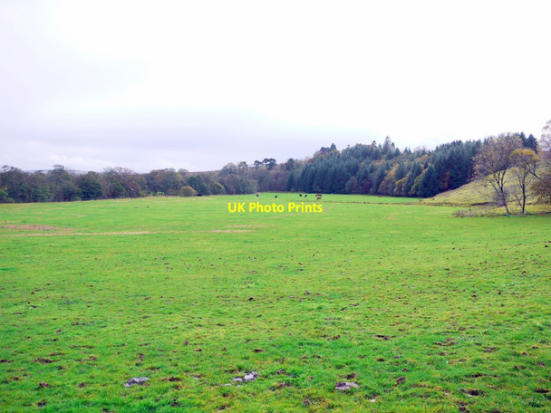 Photo 6"x4" Fields along Tarset Burn Greenhaugh\/NY7987 c2013