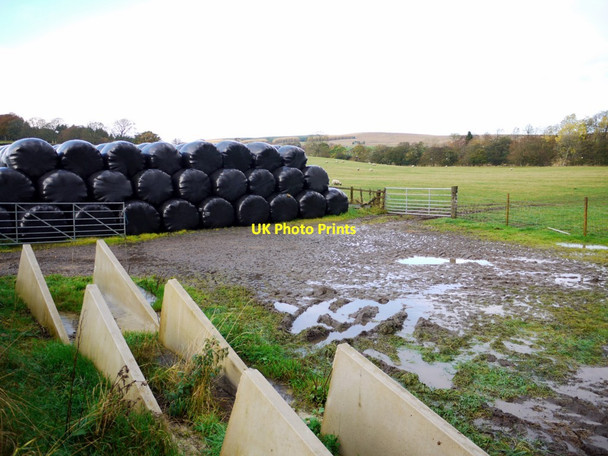 Photo 6"x4" Silage bales near Tarset Burn Greenhaugh\/NY7987 c2013