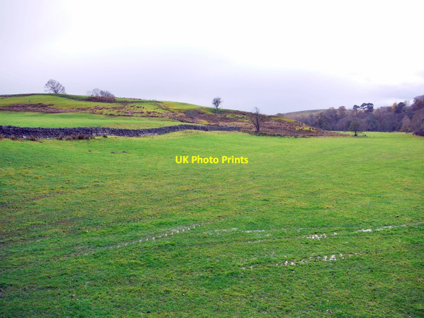 Photo 6"x4" Fields along Tarset Burn Greenhaugh\/NY7987 c2013