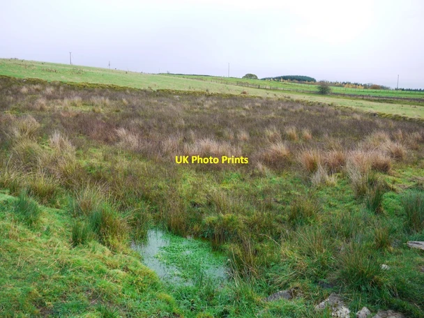 Photo 6"x4" Rough pasture near Burnbank Greenhaugh\/NY7987 c2013
