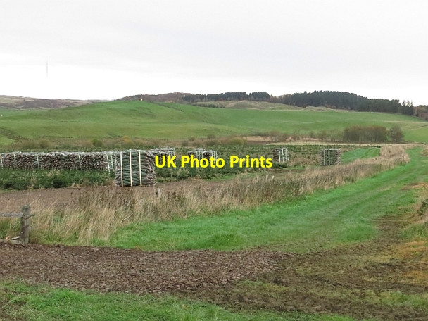 Photo 6"x4" Drove road Hartwoodburn c2013