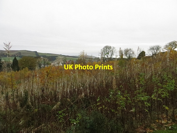 Photo 6"x4" Peel Hill Selkirk c2013