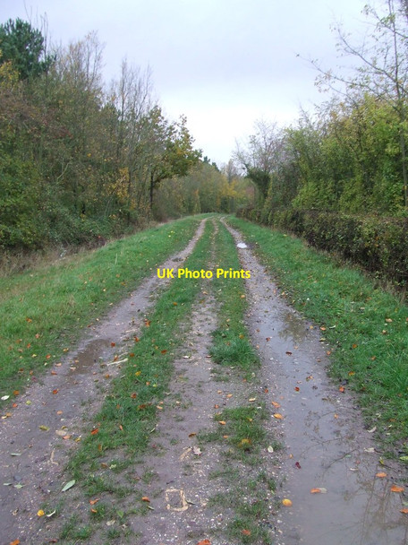 Photo 6"x4" Track And Footpath Calford Green c2013