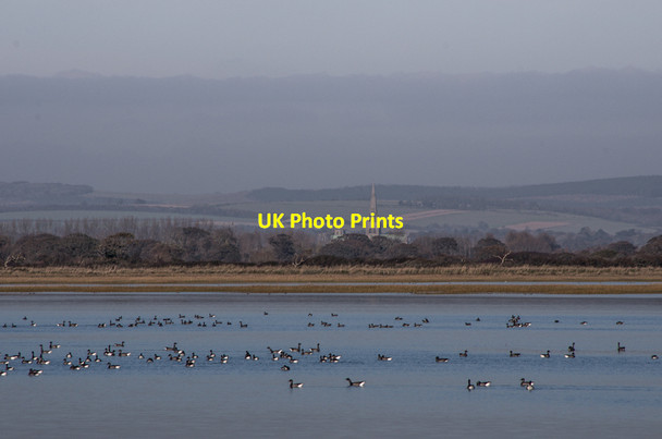 Photo 6"x4" Pagham Harbour Church Norton c2013