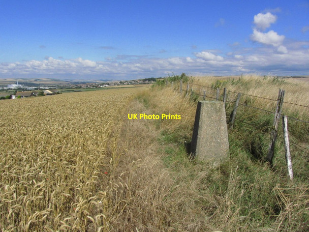 Photo 6"x4" Trig point on Rookery Hill, Bishopstone, E Sussex Newhaven\/TQ4401 c2013