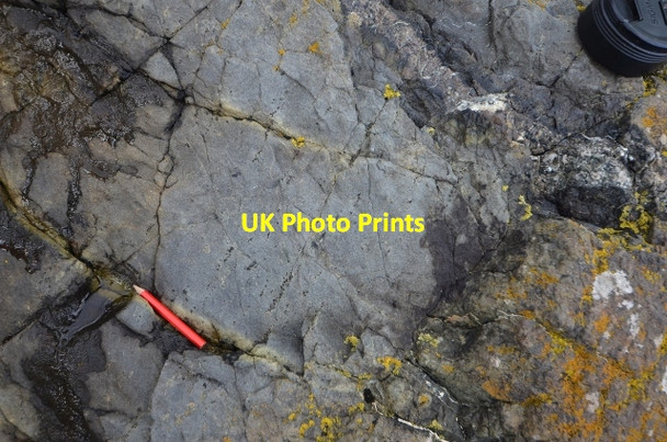 Photo 6"x4" Geological curiosity - Coverack Coverack c2013