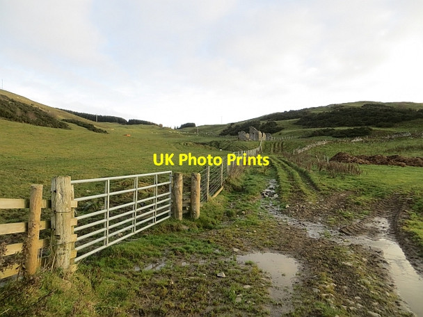 Photo 6"x4" Track,  Deepslaids Selkirk c2013