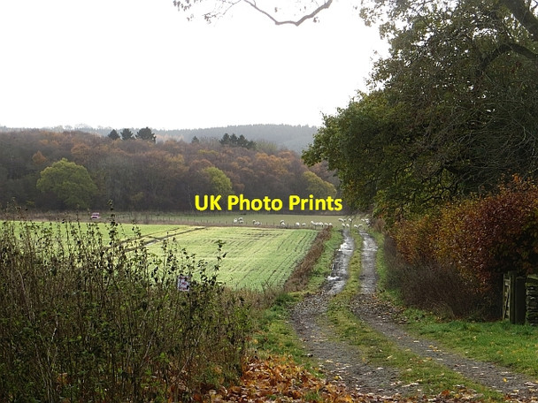 Photo 6"x4" Farm road, Whitmuir Selkirk c2013