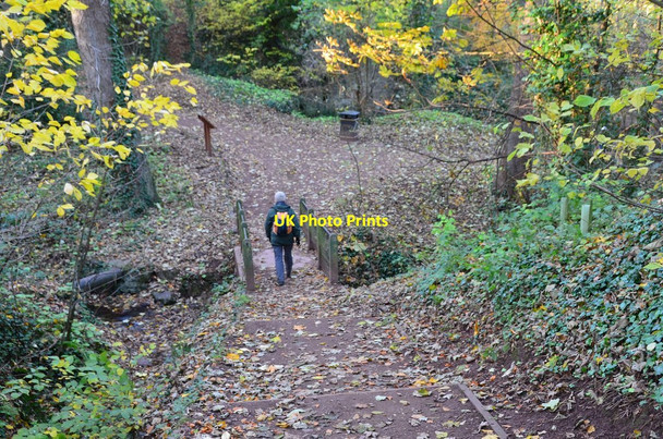 Photo 6"x4" The Glen, North Berwick North Berwick c2013
