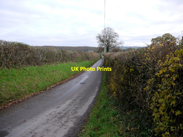 Photo 6"x4" Lane to Bacton Bacton\/SO3632 c2013