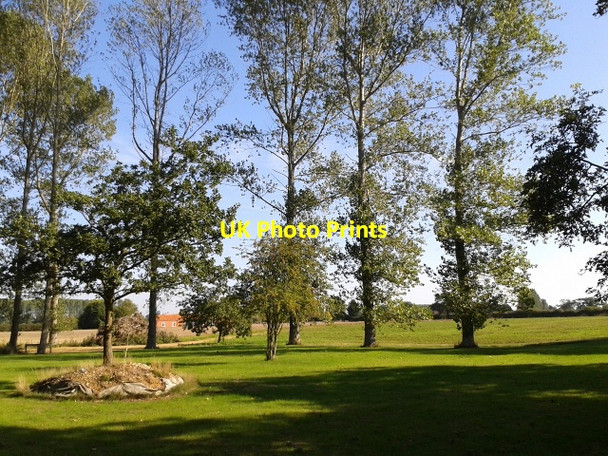 Photo 6"x4" Trees and field near Postwick marsh Bramerton c2013