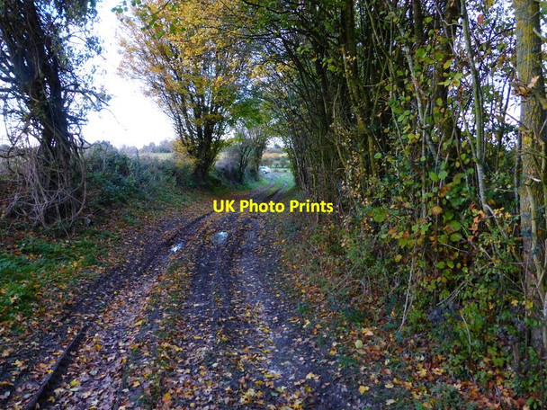 Photo 6"x4" Bridleway reaches road east of Telegraph Lane East Harting c2013