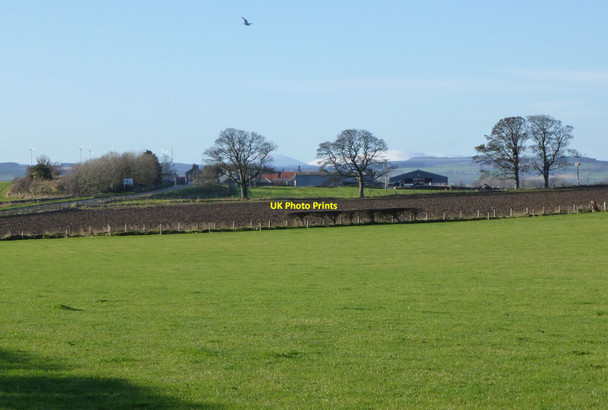 Photo 6"x4" East Farm, Swinhoe Swinhoe c2013