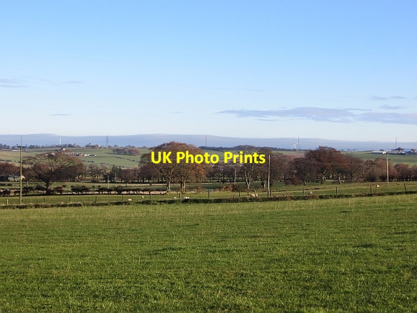 Photo 6"x4" Field, High Dyke Sandford\/NS7143 c2013