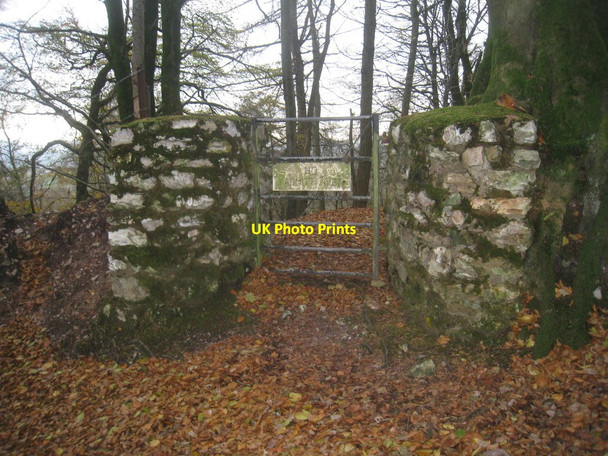 Photo 6"x4" Private entrance into Firs Plantation Wrangway c2013