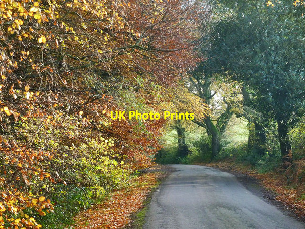 Photo 6"x4" Lane by The Warren Warren Corner\/SU7227 c2013