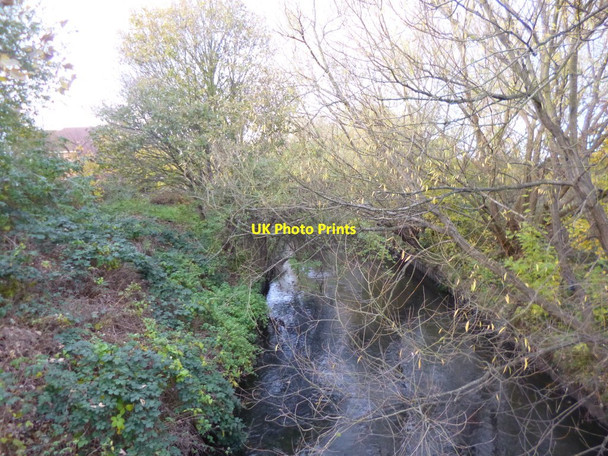 Photo 6"x4" South Wimbledon, River Wandle Merton\/TQ2569 c2013