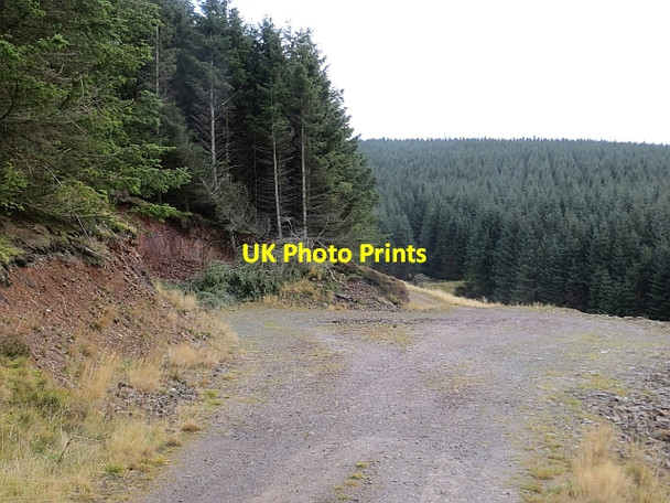 Photo 6"x4" Logging road, Bowerhope Bowerhope c2013