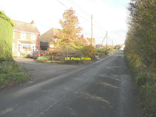 Photo 6"x4" Houses along Hammill Road Coombe\/TR2957 c2013