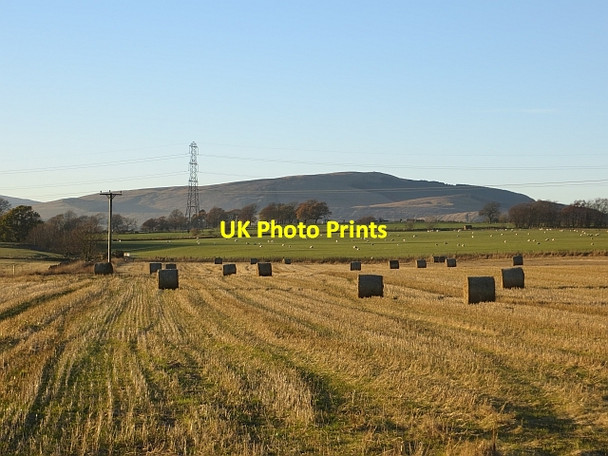 Photo 6"x4" Stubble near Bellfield Carnbo c2013