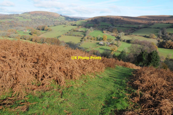 Photo 6"x4" Path above Forest Coal Pit Bettws\/SO2919 c2013