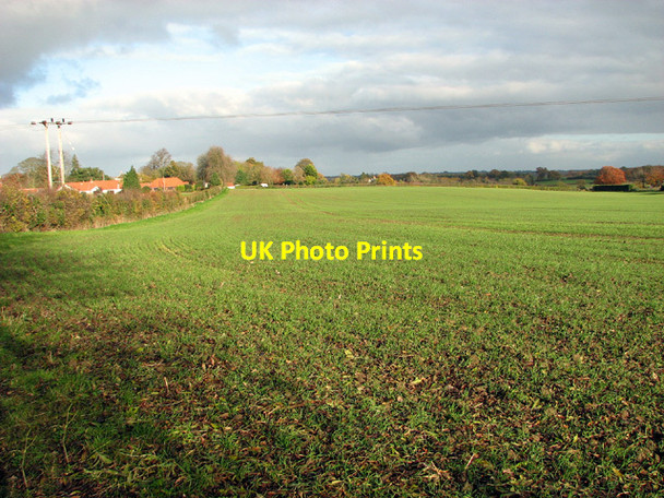 Photo 6"x4" Fields south of Kirby Bedon Kirby Bedon c2013