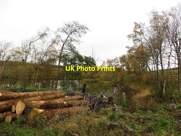 Photo 6"x4" Riddellshiel Moss Clerklands c2013