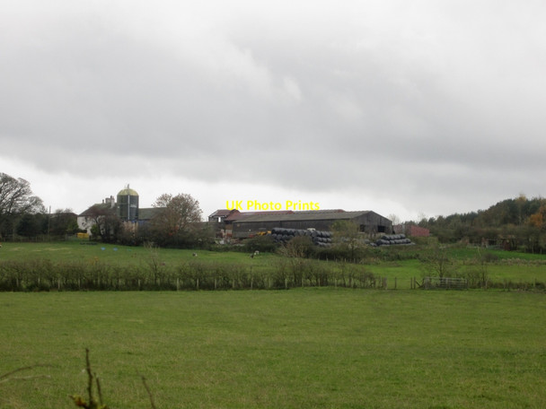 Photo 6"x4" Looking across grassland towards Fox House Farm Broughton Moor\/NY0533 c2013