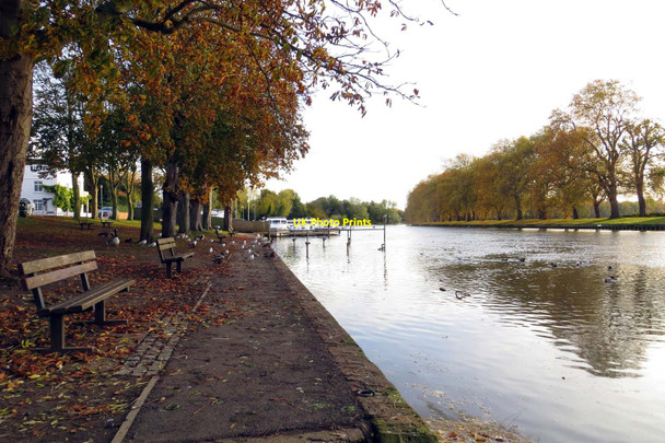Photo 6"x4" The River Thames in Datchet Windsor\/SU9676 c2013
