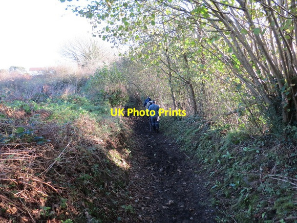 Photo 6"x4" Llwybr Ceffyl Oldway Bridleway Oldway\/SS5888 c2013