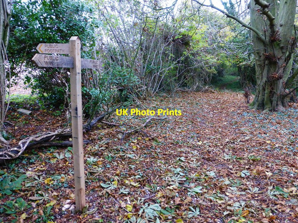 Photo 6"x4" Signpost on Long Lane at footpath crossing Hooksway c2013