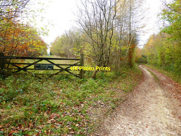 Photo 6"x4" Estate gateway on restricted byway Hooksway c2013