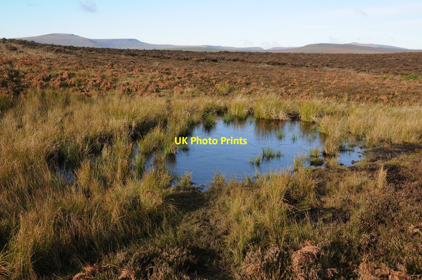 Photo 6"x4" Small pool on Sugar Loaf Bettws\/SO2919 c2013