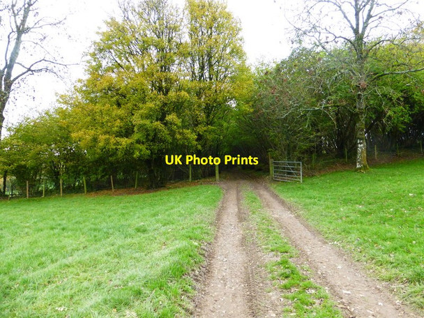 Photo 6"x4" Footpath enters woodland below Monkton Farm Hooksway c2013