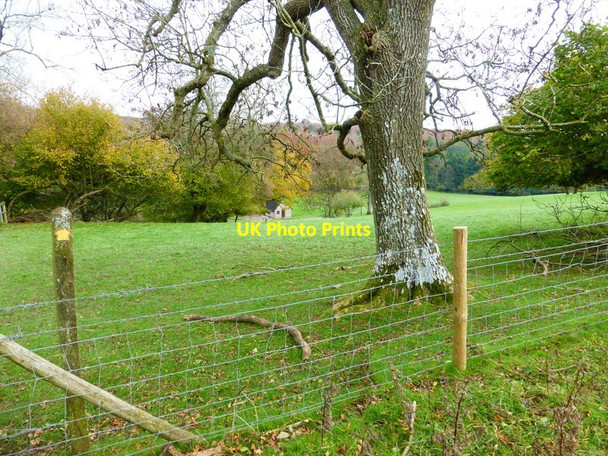 Photo 6"x4" Monkton Farm seen from footpath to the west Hooksway c2013
