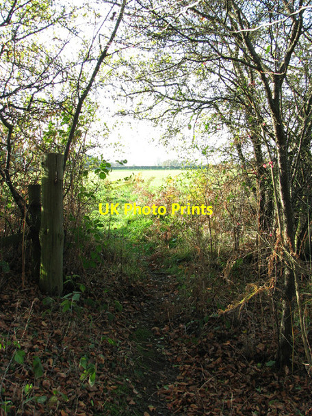 Photo 6"x4" Footpath to Haveringland Grang c2013