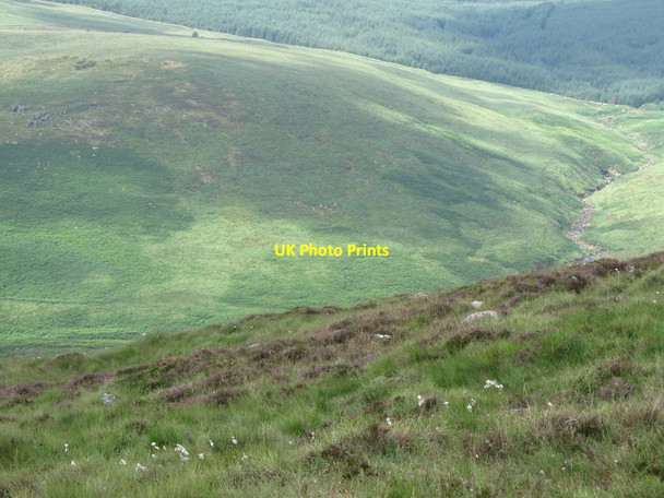 Photo 6"x4" The Slieveanowen spur above the Cassy Water Rostrevor c2013