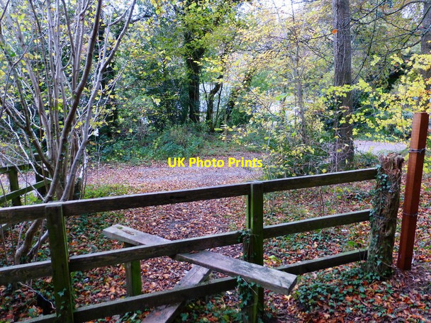 Photo 6"x4" Stile in Phillis Wood close to Hooksway Hooksway c2013