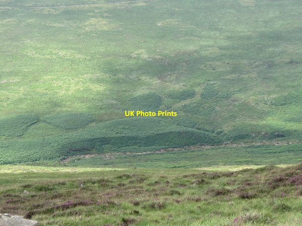 Photo 6"x4" View west across the Cassy Water valley Rostrevor c2013