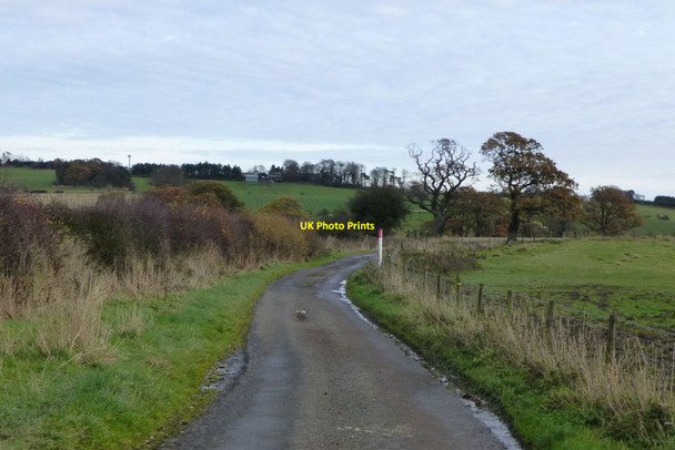 Photo 6"x4" On the road to Longhorsley Weldon\/NZ1398 c2013