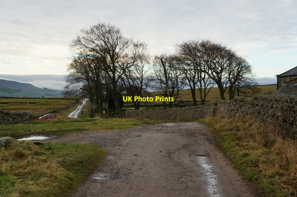 Photo 6"x4" Old Moor Lane near Yarnbury Grassington c2013