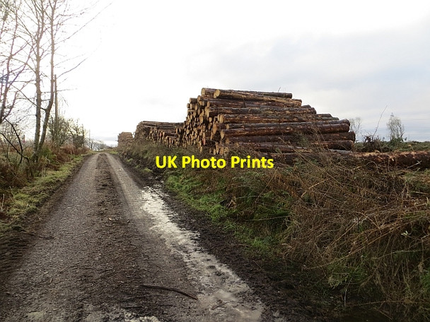 Photo 6"x4" Road to Muirhouse Blackwood\/NS7943 c2013