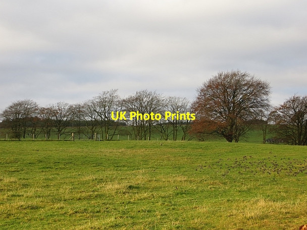 Photo 6"x4" Grass field, Little Dykehead Blackwood\/NS7943 c2013