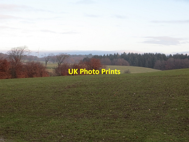 Photo 6"x4" Farmland, Killalees Blackwood\/NS7943 c2013